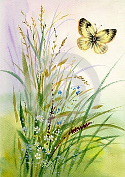 Wild flowers and a butterfly