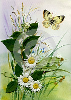 Wild flowers and a butterfly