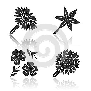 Wild flowers drop shadow black glyph icons set. Common star lily, blue flax, helianthus, blanket flower. Blooming