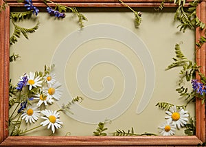 Wild flowers frame on paper background. Top view, flat lay. Flower frame with a text space