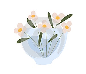 Wild flowers in glass vase. Floral bouquet of blooming buds of cut snowdrops. Bunch of spring blossomed field plant