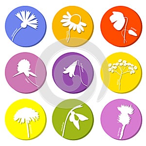 Wild flowers icons set