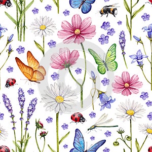 Wild flowers and insects illustration