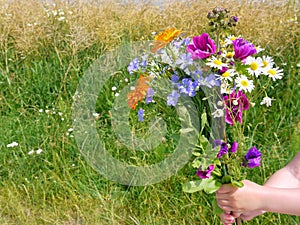 Wild flowers on meadow in nature