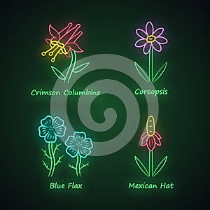 Wild flowers neon light icons set. Crimson columbine, coreopsis, blue flax, mexican hat. Blooming wildflowers, weed