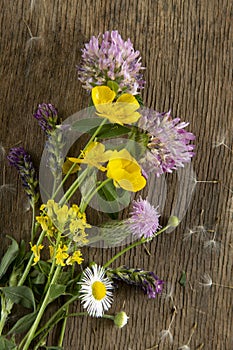 Wild flowers on old grunge wooden background (Aster amellus, Buttercup, Lucerne, Cirsium, Trifolium