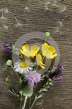 Wild flowers on old grunge wooden background (Aster amellus, Buttercup, Lucerne, Cirsium, Trifolium