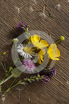 Wild flowers on old grunge wooden background (Aster amellus, Buttercup, Lucerne, Cirsium, Trifolium