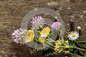 Wild flowers on old grunge wooden background (Aster amellus, Buttercup, Lucerne, Cirsium, Trifolium