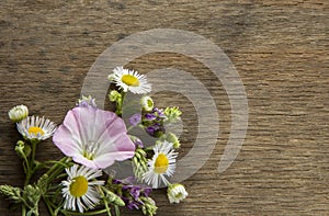 Wild flowers on old grunge wooden background (Aster amellus, Buttercup, Lucerne, Cirsium, Trifolium, convolvulus