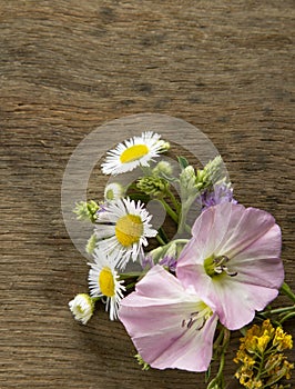 Wild flowers on old grunge wooden background (Aster amellus, Buttercup, Lucerne, Cirsium, Trifolium, convolvulus