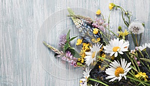 Wild flowers on old grunge wooden background chamomile lupine dandelions thyme mint bells rape