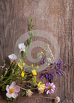 Wild flowers on old grunge wooden background (chamomile lupine dandelions thyme mint bells rape)