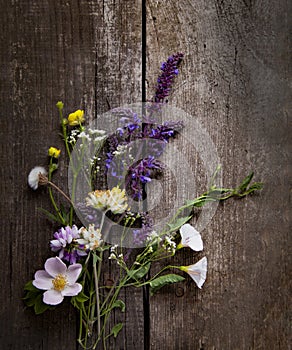 Wild flowers on old grunge wooden background  lupine dandelions thyme mint bells rape