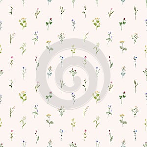 Wild flowers pattern. Seamless floral background with repeatable botanical print. Herbal blooms, plants, wildflowers