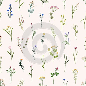 Wild flowers pattern. Seamless floral background. Repeating botanical print with spring blooms, plants and herbs for