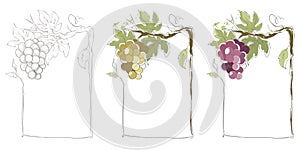 Frames for red and white wine -- set