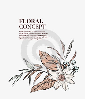 Wild flowers romantic bouquet, elegant romantic botanical concept. Garden floral bloom with outline art: pampas grass, white