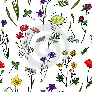 Wild flowers seamless pattern. Floral wildflower vintage wallpaper. Summer, spring botanical textile vector texture