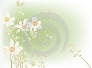 wild flowers template background