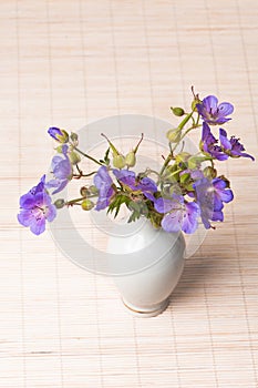 Wild flowers in a vase