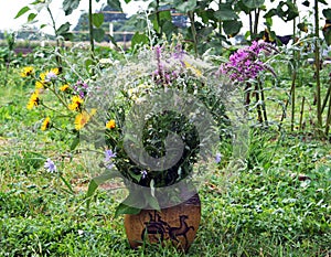 Wild flowers in a vase