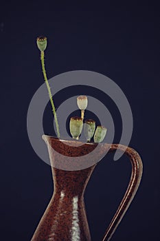 Wild flowers in a vase