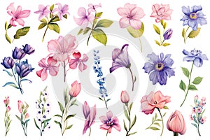 Wild flowers vector collection.herbs, herbaceous flowering plants, blooming flowers.GenerativeAI.