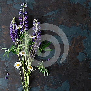 Wild flowers violet lupin Lupinus albus with chamomile on a black background. Top view, flat lay. mockup