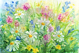 Wild flowers - watercolor background painting.