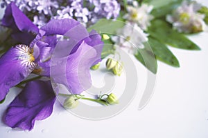 Wild flowers on a white background, irises and lilacs
