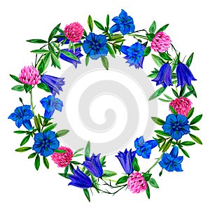 Wild flowers wreath with clover and gentian, hand drawn
