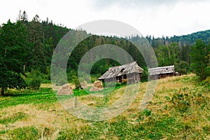 Wild forest cabin, lonesome travel landscape