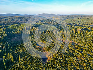 Wild forested and wet moorland from above photo