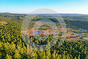 Wild forested and wet moorland from above