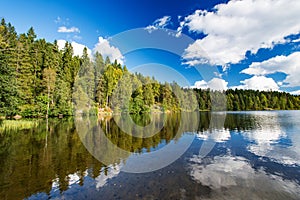 Wild forrest lake sky