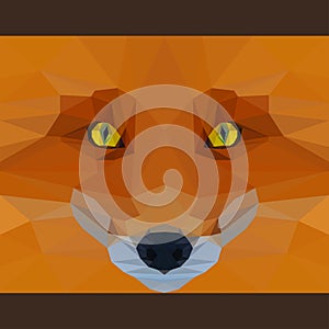 Wild fox stares forward. Nature and animals life theme. Abstract geometric polygonal triangle illustration