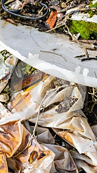 wild garbage dump. residual glass, plastics in the forest