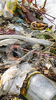 wild garbage dump. residual glass, plastics in the forest