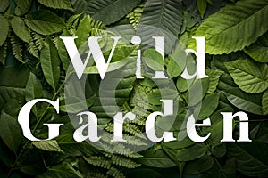 Wild garden concept of wild green jungle foliage.