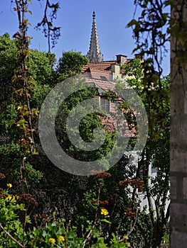 Wild garden, red roofs and church tower in Bratislava old town, Slovakia