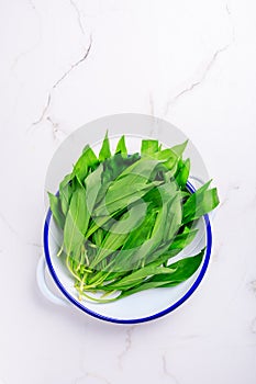 Wild garlic - Bunch of Ramson or bear leek Allium ursinum