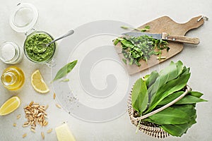 Wild garlic ramson pesto