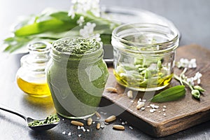 Wild garlic ramson pesto