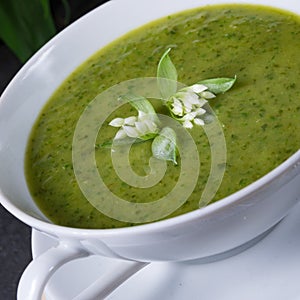 Wild garlic soup