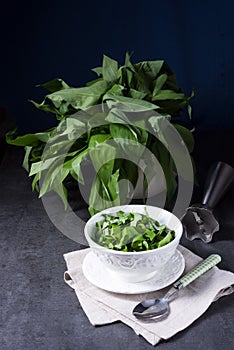 Wild garlic stripes for fresh wild garlic pesto