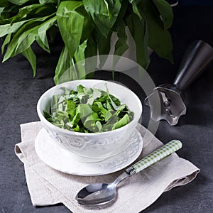 Wild garlic stripes for fresh wild garlic pesto