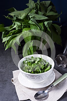 Wild garlic stripes for fresh wild garlic pesto