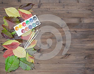 Wild grapes multicolored autumn leaves paints and brushes