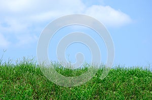 Wild green grass and weeds lawn or field hill against a blue sky with clouds